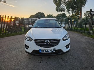 /photos/12600/fb1df8c6-5f30-4a99-8b78-f1fa30daab50_i320x240.jpg